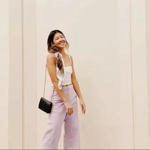 Madewell 29 Emmett Wide-Leg Crop Pants purple lavender culottes